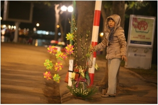 Chùm ảnh: