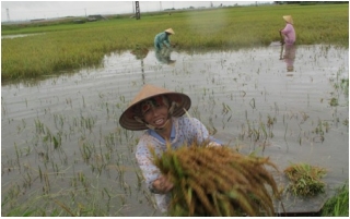 Mưa lũ nhấn chìm nhiều tuyến đường, cô lập hàng nghìn hộ dân_13