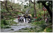 Ít nhất 14 người chết và mất tích, nhiều thiệt hại về tài sản sau bão