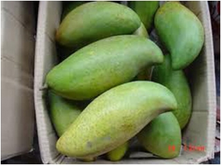 Những loại quả Trung Quốc bị giấu nhẹm tung tích_1