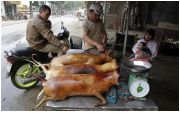 Người Thái "sốc" vì nạn buôn mèo sang VN làm thịt