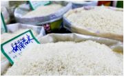 Thương lái Trung Quốc thu mua gạo giá rẻ
