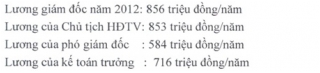 TPHCM: GĐ Công ty thoát nước, chiếu sáng đô thị lương tháng trên dưới 200 triệu đồng_2