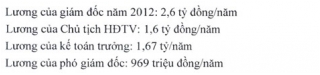 TP.HCM: Công nhân ngâm mình dưới cống  