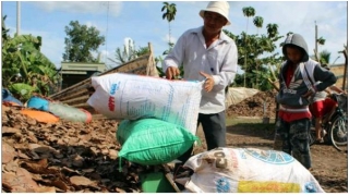 Vặt lá, chặt rễ cây bán cho thương lái Trung Quốc_1