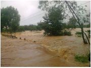Đắk Lắk: Bị mưa lũ cô lập, người dân phải leo cây tránh lũ