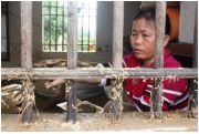 Nghệ An: Bộn bề âu lo sau trận lũ lịch sử