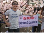 Lễ hội Hoa anh đào tại Hà Nội