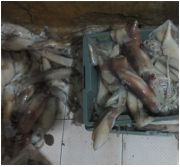 Công nghệ tẩy trắng mực thối ở Hà Nội 