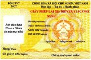 Về đổi giấy phép lái xe do nước ngoài cấp để sử dụng ở Việt Nam