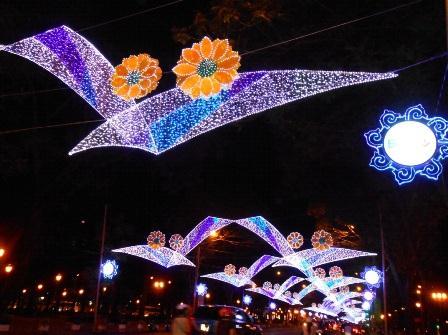 Hà Nội giăng đèn chào Tết: Hàng Tàu lên ngôi - 0