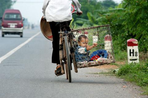 Mẹ cho con vào hộp chở về quê ăn Tết - 1