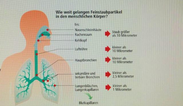 Stuttgart là Thành phố bẩn nhất nước Đức - 1