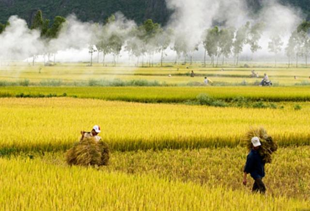 “ Đất nước mình không ngộ quá đâu em!” - Hồi đáp bài thơ Đất nước mình ngộ quá phải không anh? - 0