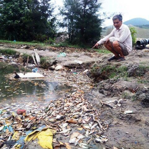 Dân cứ yên tâm ăn cá và sự im lặng của cán bộ - 0