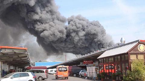 Bốc cháy dữ dội tại khu chợ người Việt ở Berlin - 1