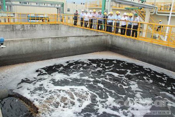 Chia sẻ rùng mình về Formosa của cán bộ từng làm ở Bộ Tài nguyên Môi trường - 0
