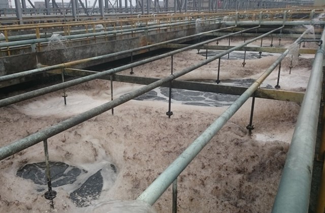 Chia sẻ rùng mình về Formosa của cán bộ từng làm ở Bộ Tài nguyên Môi trường - 2