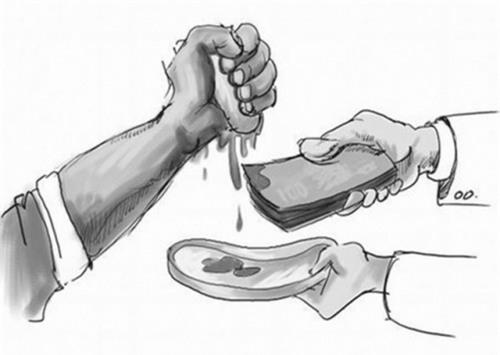 Góc khuất đằng sau lời rao mình trong ma trận... chợ thận online - 0