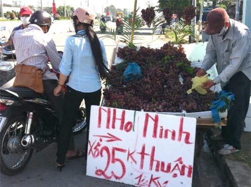 Mỗi ngày 100 tấn nho Tàu: Hà Nội toàn nho Mỹ - Úc - 0