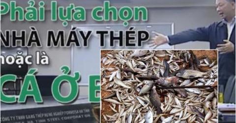 NGUY HIỂM CỦA FORMOSA VÀ SỰ NGÂY NGÔ KHÓ HIỂU ! - 0