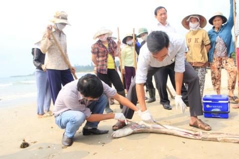 Nghị sĩ Đài Loan lên tiếng về Formosa: Bài học xương máu? - 0
