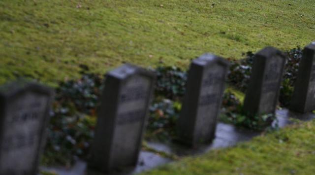 Phụ nữ 79 tuổi bị người tị nạn tại Đức cưỡng hiếp ở nghĩa địa - 0