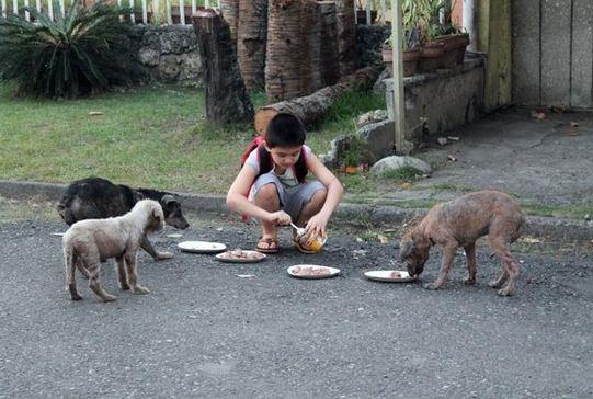 Con trai lấy trộm đồ nhà mang ra ngoài, cha lặng lẽ theo dõi và phát hiện sự thật không ngờ - 2