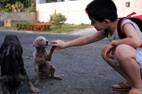 Con trai lấy trộm đồ nhà mang ra ngoài, cha lặng lẽ theo dõi và phát hiện sự thật không ngờ - 4