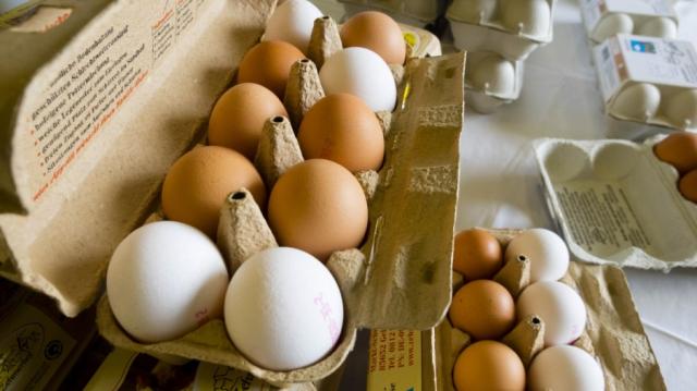 Châu Âu rúng động vì trứng bẩn: Đức, Hà Lan ảnh hưởng nặng nề - 0