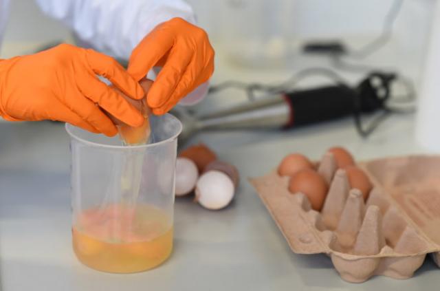 Fipronil ở trứng gà bị nhiễm gây độc ra sao? - 0