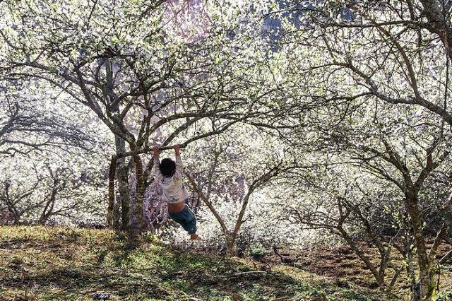Chúng ta sở dĩ mệt mỏi là bởi vì đã nghĩ quá nhiều! - 3