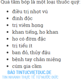 qua tam bop 11