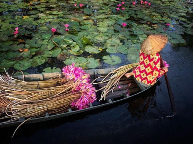 Đẹp ngỡ ngàng hình ảnh Việt Nam trên Tạp chí nhiếp ảnh hàng đầu thế giới - 8