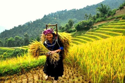 11 thói quen bình dân nhưng giúp bạn sống lâu và hạnh phúc - 5