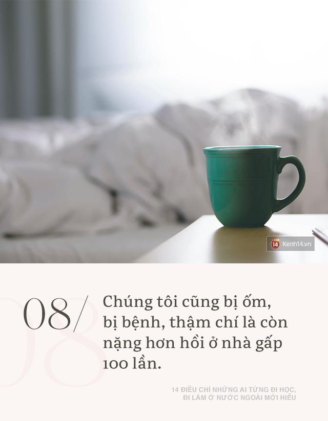 Đi học, đi làm ở nước ngoài có sướng gì đâu, toàn những nỗi lòng chỉ người trong cuộc mới hiểu - 7