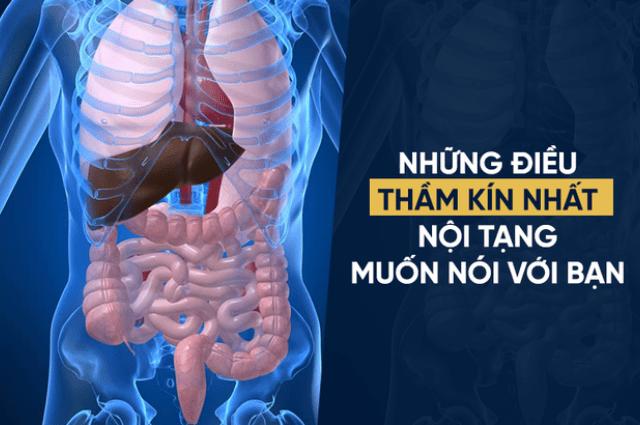 5 thứ mà nội tạng sợ nhất nhưng bạn đang “thản nhiên” nạp vào cơ thể hằng ngày - 0