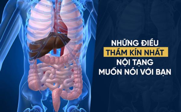 Danh y chia sẻ cách “rửa sạch” nội tạng: Không chỉ tôi, tất cả chúng ta đều nên làm ngay! - 1