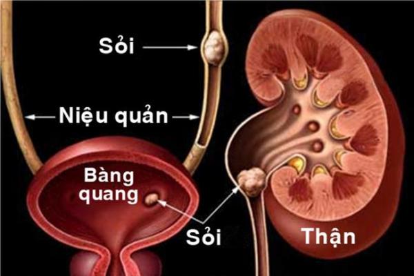 Danh y chia sẻ cách “rửa sạch” nội tạng: Không chỉ tôi, tất cả chúng ta đều nên làm ngay! - 5