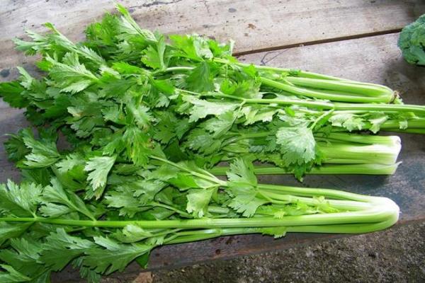 Giải độc gan chỉ 2 ngàn đồng mỗi ngày, ai không biết phí cả đời - 2