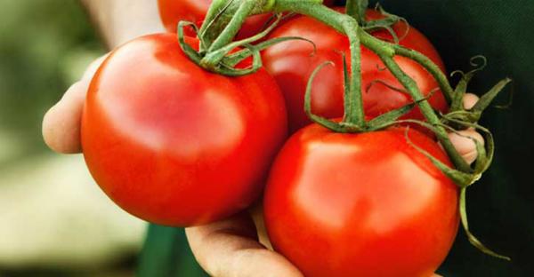 25 lợi ích kỳ diệu khi bạn ăn 1 quả cà chua mỗi ngày - 0
