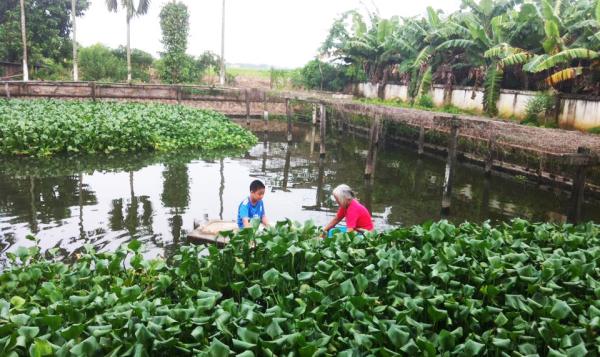 Còn 5 ngày nữa là Tết, đã bao lâu rồi bạn không về ăn cơm cùng mẹ? - 0