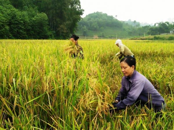 9 định luật lớn của cuộc đời, ai cũng phải biết để sống hạnh phúc, an hòa - 2