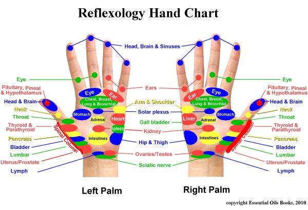 Phân biệt u lành u ác ở mũi qua khí sắc của bàn tay: Đơn giản mà chính xác đến kinh ngạc - 1