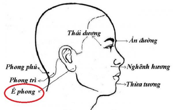 4 huyệt nắm giữ nhan sắc của bạn, biết chăm sóc sẽ giúp bạn trẻ mãi không già - 2