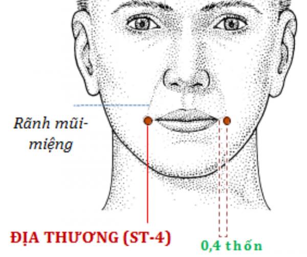 4 huyệt nắm giữ nhan sắc của bạn, biết chăm sóc sẽ giúp bạn trẻ mãi không già - 3