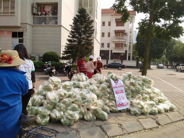 Điệp khúc “giải cứu” nông sản mất giá, bộ chủ quản cho đó là điều không thể tránh khỏi - 0