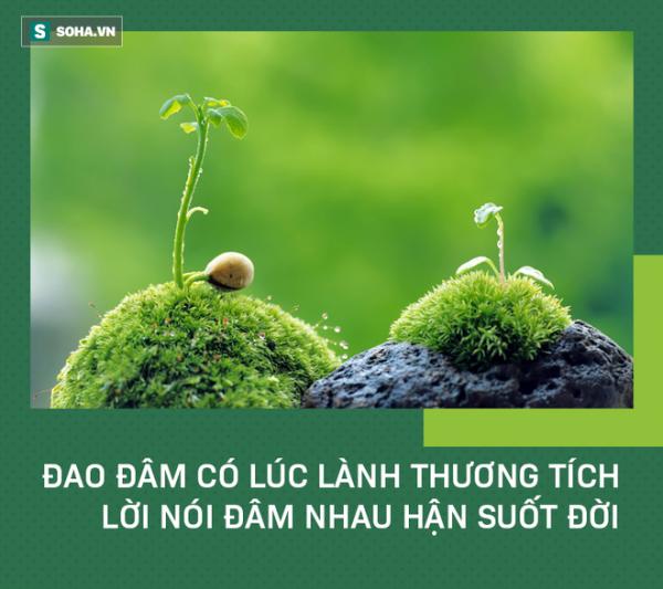 2 chữ gây tổn thương ghê gớm nhất, ai cũng nên chú ý trong cuộc sống hằng ngày - 3