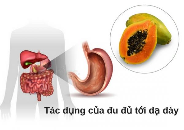 Quên thuốc tây đi, nếu chẳng may mắc những bệnh này chỉ ăn đu đủ là sẽ khỏi - 2