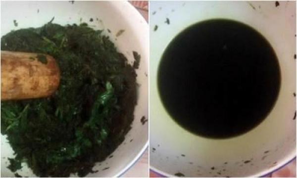 Giã nát nắm lá tía tô rồi đắp mặt 7 ngày liền, nám, tàn nhang chi chít hay mụn quanh mắt cũng mờ hẳn - 2